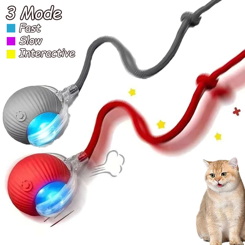 2 Pcs Cat interactive Ball Toys, Automatic Rolling Ball Faux Tail Rechargable Smart Toy