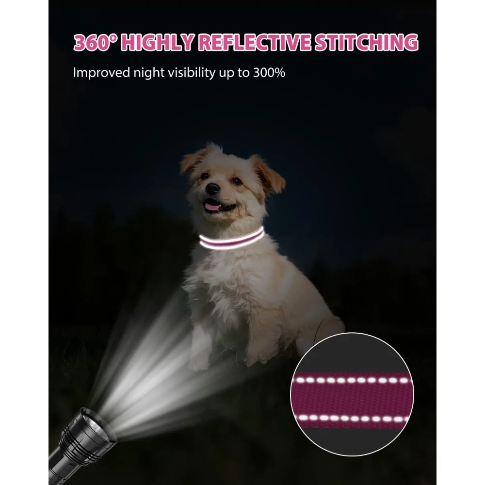 Small Dog Collar, Reflective and Adjustable Nylon Collar w/Quick-Release Buckle