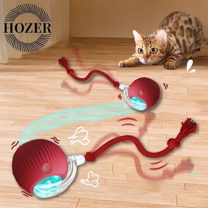 2 Pcs Cat interactive Ball Toys, Automatic Rolling Ball Faux Tail Rechargable Smart Toy