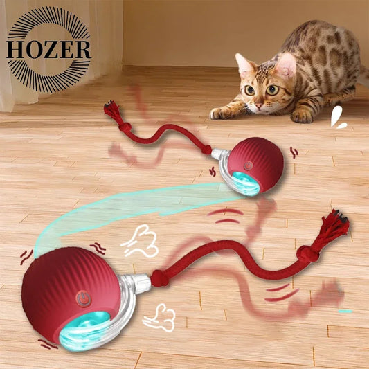 2 Pcs Cat interactive Ball Toys, Automatic Rolling Ball Faux Tail Rechargable Smart Toy
