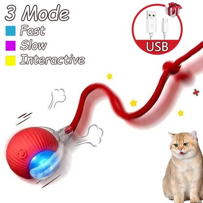 2 Pcs Cat interactive Ball Toys, Automatic Rolling Ball Faux Tail Rechargable Smart Toy