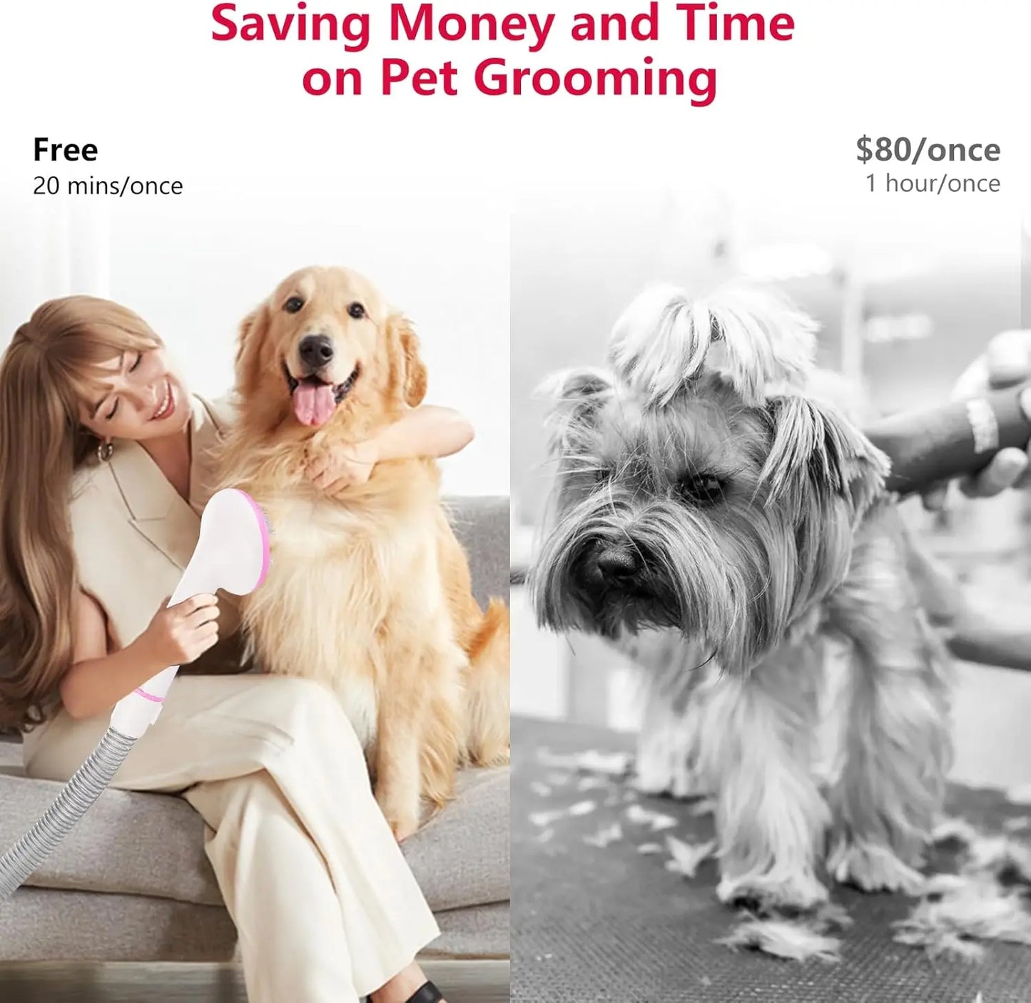 Pet Grooming Vacuum, Dog Hair Vacuum Groomer, Multi-Functional Pet Grooming Kits