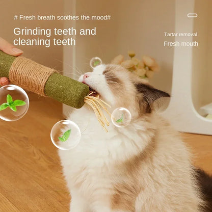 Cat Toys Silvervine Chew Stick, Pet Snack Sticks Natural Stuff with Catnip