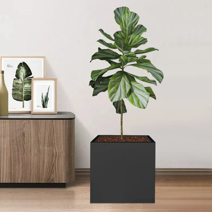 20" Square Metal Planting Box - Black Cube, Indoor/Outdoor Planter