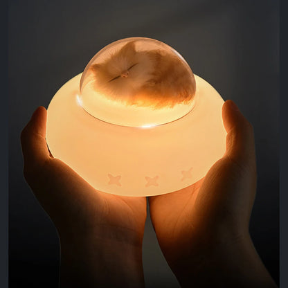 Silicone Pet Spaceship Lamp Night Light, USB Charging, Bedroom, Bedside LED Light.