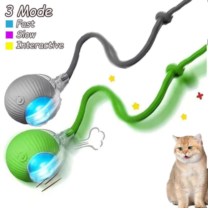 2 Pcs Cat interactive Ball Toys, Automatic Rolling Ball Faux Tail Rechargable Smart Toy