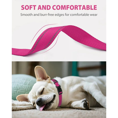 Small Dog Collar, Reflective and Adjustable Nylon Collar w/Quick-Release Buckle
