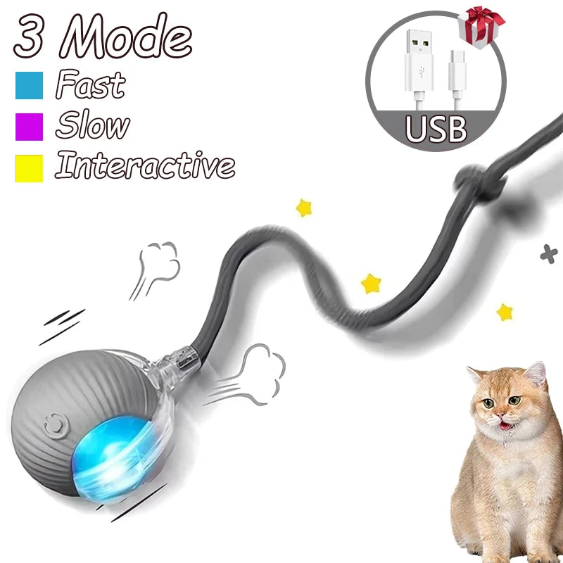 2 Pcs Cat interactive Ball Toys, Automatic Rolling Ball Faux Tail Rechargable Smart Toy