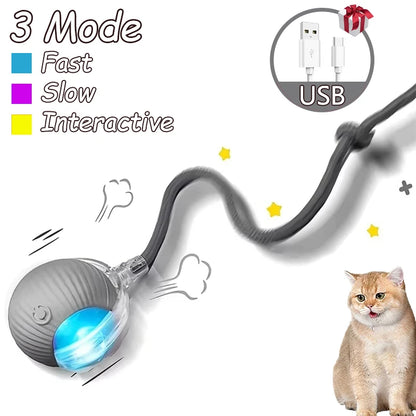 2 Pcs Cat interactive Ball Toys, Automatic Rolling Ball Faux Tail Rechargable Smart Toy