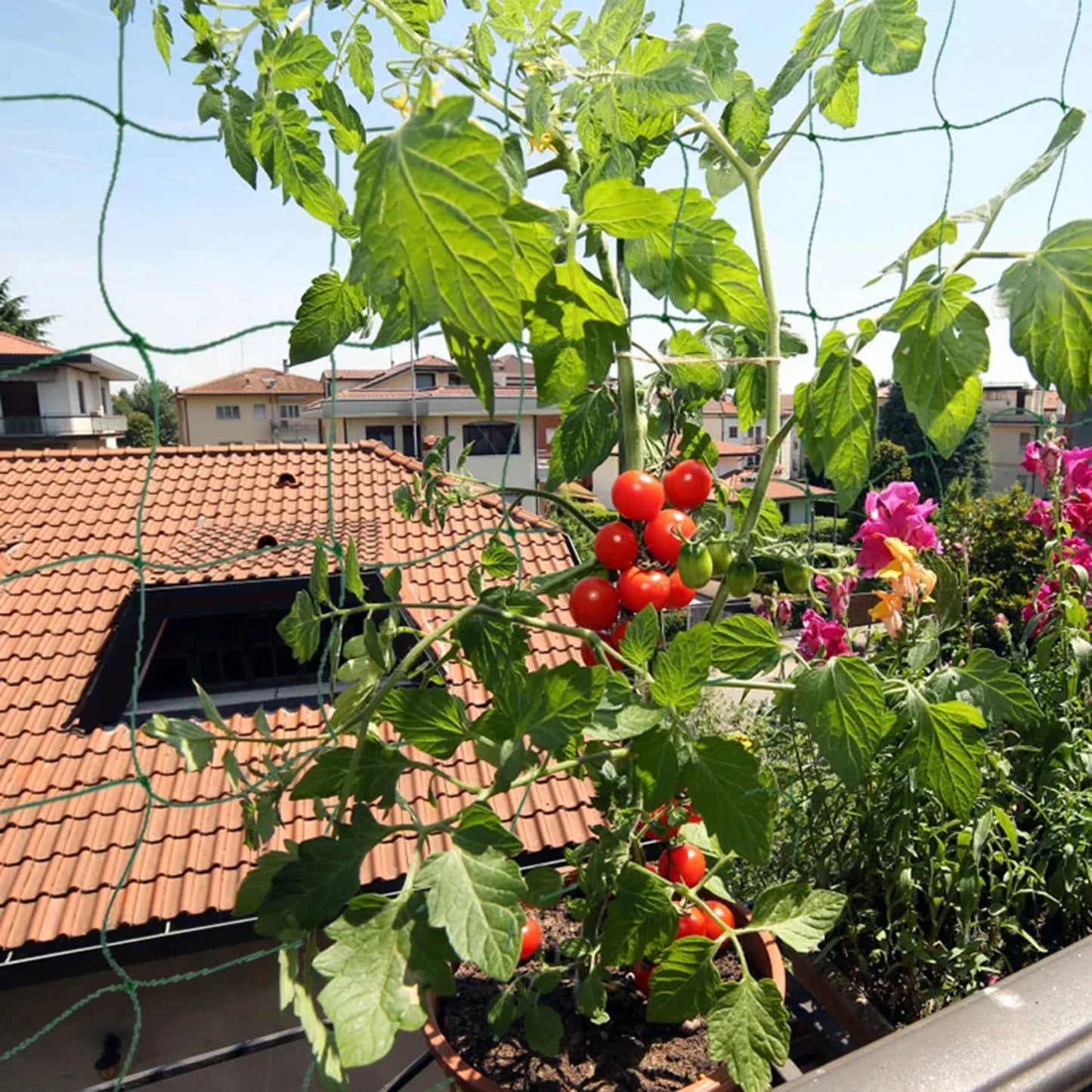 78.74" x 196.85" Garden Plants Trellis Cage Netting, Garden Vine Growing