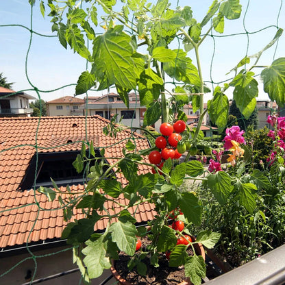 78.74" x 196.85" Garden Plants Trellis Cage Netting, Garden Vine Growing