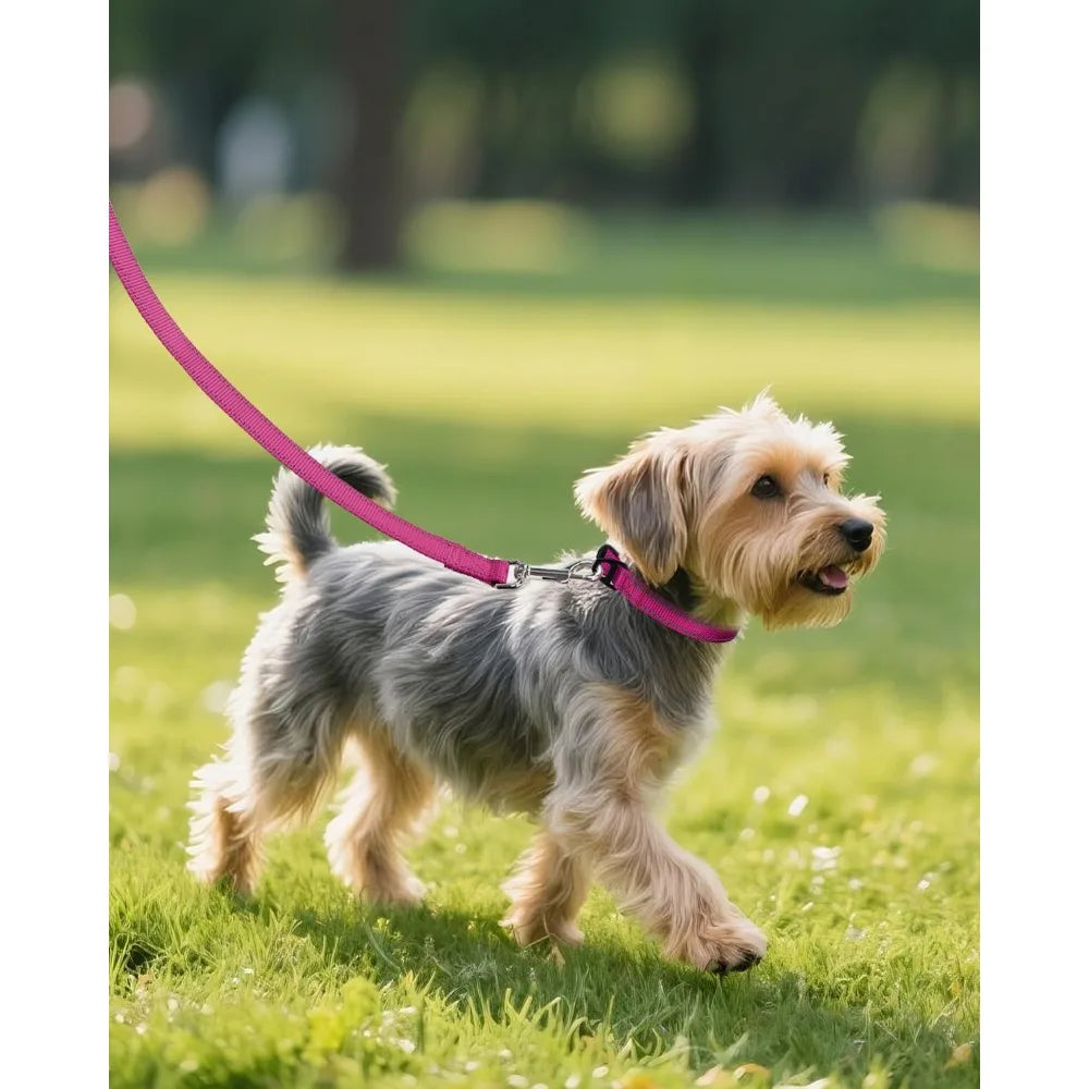 Small Dog Collar, Reflective and Adjustable Nylon Collar w/Quick-Release Buckle